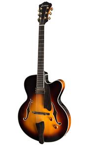 Electric Guitars 